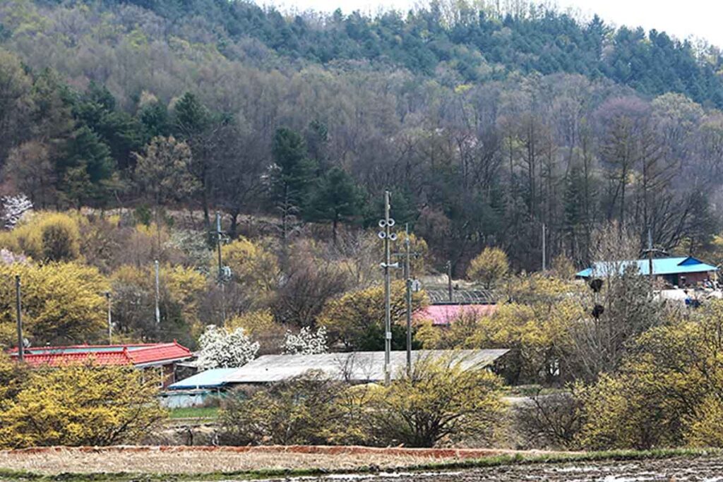 "청년들 20만원 지원" 정부, 월세·농어촌 지원금 등 대규모 지원 진행 3 청년-월세-지원사업-정부-통신비-육아-고령화-3